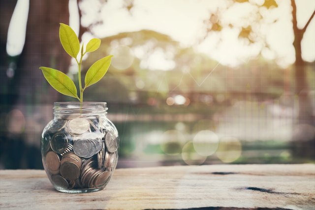 Close-Up Of Plant In Coin Jar On Table