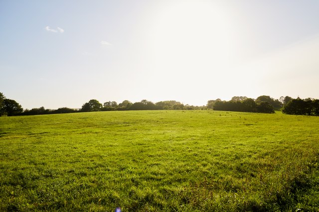 How To Buy Land Owned By The Government Sapling offer-letter-to-purchase-property-printable-in-pdf-and-word