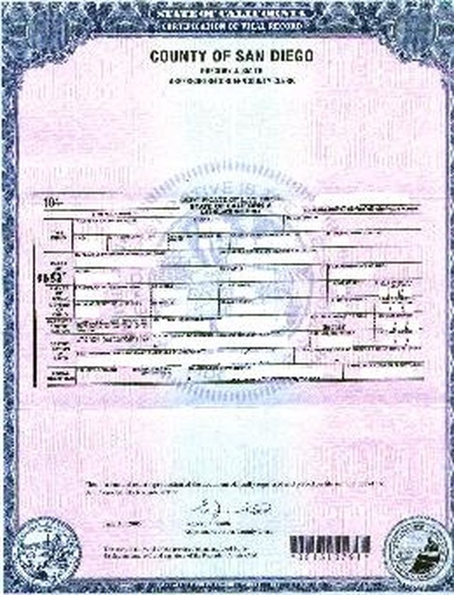 How to Verify a Birth Certificate Sapling