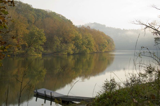 Misty autumn day