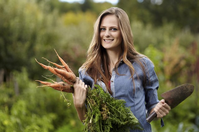 Young woman gardener holding a sheaf of carrots