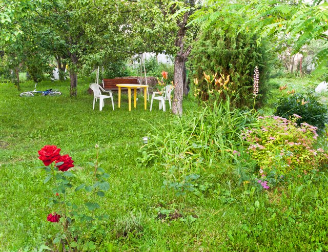 garden