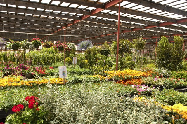 Garden Center Greenhouse