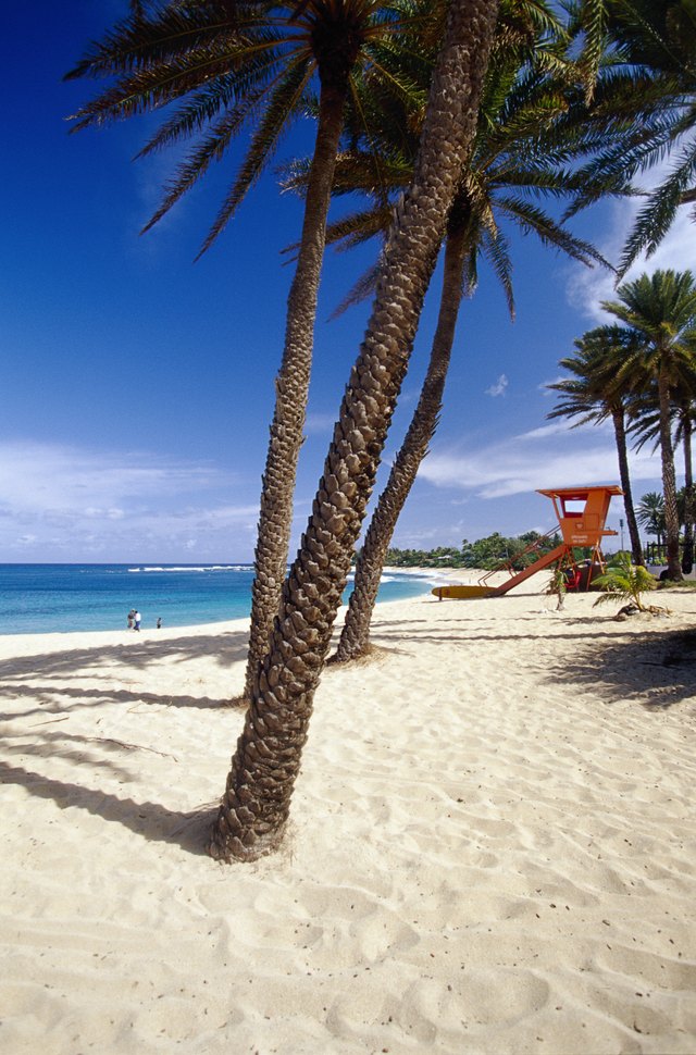 Lifeguard stand on beach