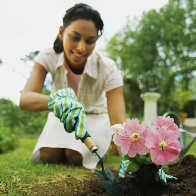 Young woman planting flowers